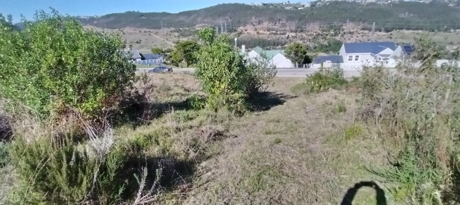 0 Bedroom Property for Sale in Green Pastures Western Cape